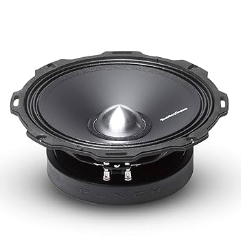 Amazon.com: Rockford Fosgate PPS4-8 Punch Pro Single 8